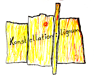 Konstellation: lignum 2.0