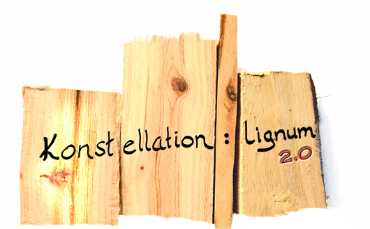 Konstellation: lignum 2.0